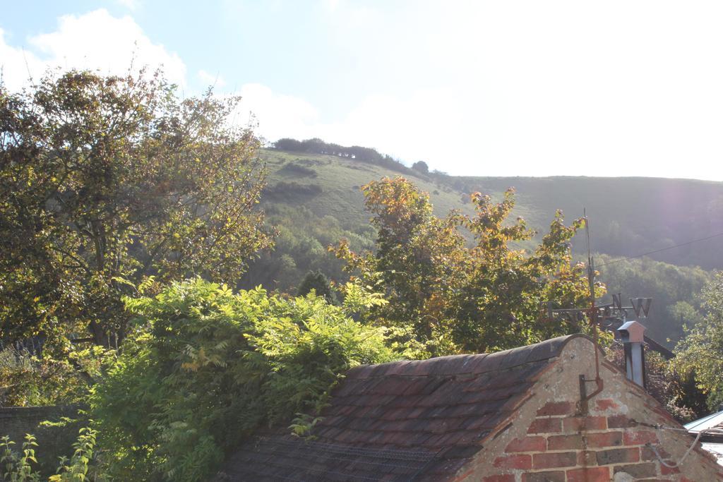 唐斯道南住宿加早餐旅馆 Poynings 外观 照片