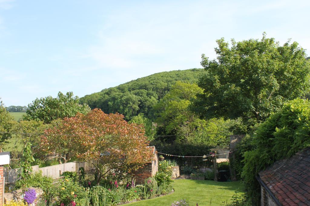 唐斯道南住宿加早餐旅馆 Poynings 外观 照片